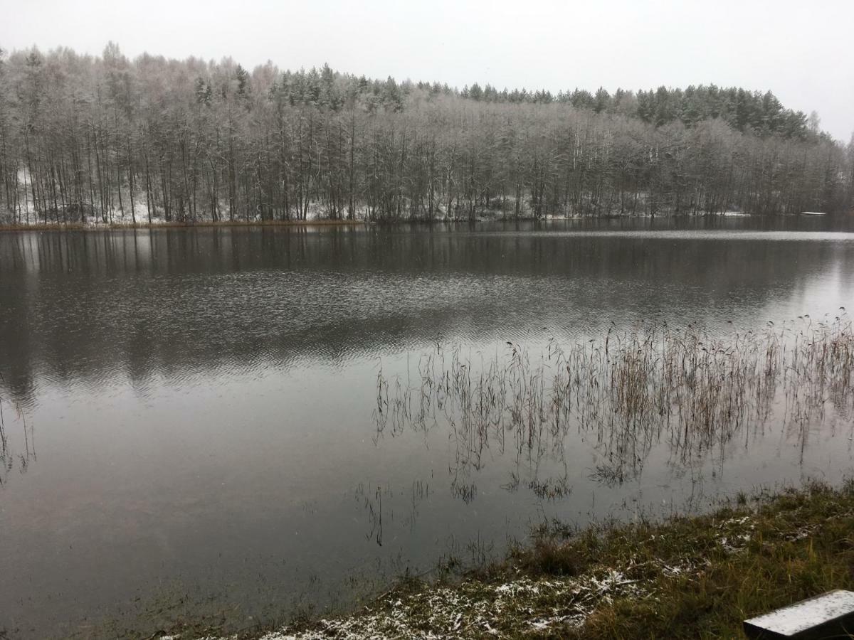 Vila Migla Paseksciai Luaran gambar