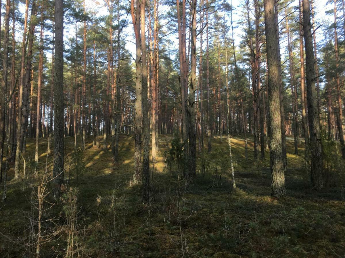 Vila Migla Paseksciai Luaran gambar