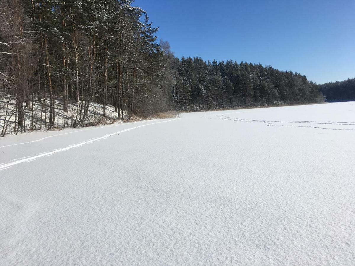 Vila Migla Paseksciai Luaran gambar